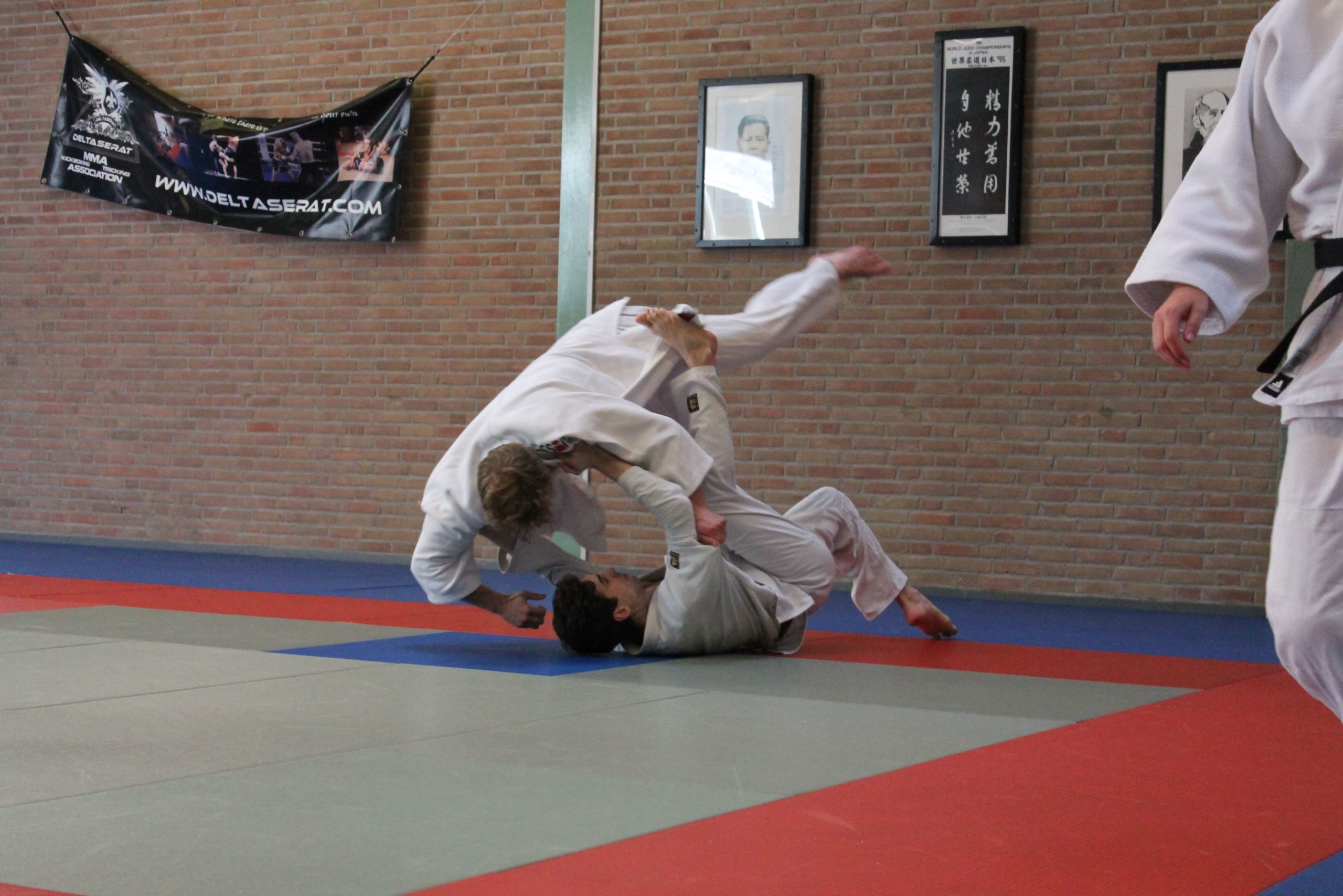 Judo Aclo