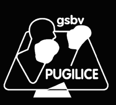 G.S.B.V. Pugilice logo